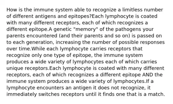 How is the immune system able to recognize a limitless number of different antigens and epitopes?Each lymphocyte is coated with many different receptors, each of which recognizes a different epitope.A genetic "memory" of the pathogens your parents encountered (and their parents and so on) is passed on to each generation, increasing the number of possible responses over time.While each lymphocyte carries receptors that recognize only one type of epitope, the immune system produces a wide variety of lymphocytes each of which carries unique receptors.Each lymphocyte is coated with many different receptors, each of which recognizes a different epitope AND the immune system produces a wide variety of lymphocytes.If a lymphocyte encounters an antigen it does not recognize, it immediately switches receptors until it finds one that is a match.