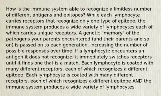 How is the immune system able to recognize a limitless number of different antigens and epitopes? While each lymphocyte carries receptors that recognize only one type of epitope, the immune system produces a wide variety of lymphocytes each of which carries unique receptors. A genetic "memory" of the pathogens your parents encountered (and their parents and so on) is passed on to each generation, increasing the number of possible responses over time. If a lymphocyte encounters an antigen it does not recognize, it immediately switches receptors until it finds one that is a match. Each lymphocyte is coated with many different receptors, each of which recognizes a different epitope. Each lymphocyte is coated with many different receptors, each of which recognizes a different epitope AND the immune system produces a wide variety of lymphocytes.