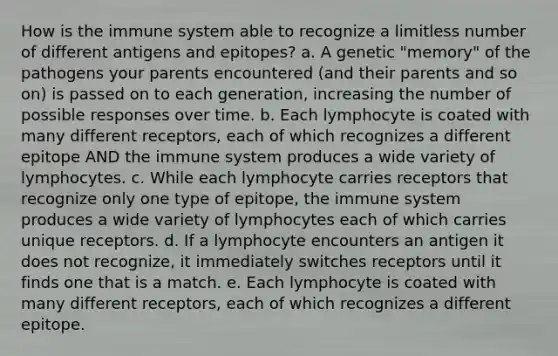 How is the immune system able to recognize a limitless number of different antigens and epitopes? a. A genetic "memory" of the pathogens your parents encountered (and their parents and so on) is passed on to each generation, increasing the number of possible responses over time. b. Each lymphocyte is coated with many different receptors, each of which recognizes a different epitope AND the immune system produces a wide variety of lymphocytes. c. While each lymphocyte carries receptors that recognize only one type of epitope, the immune system produces a wide variety of lymphocytes each of which carries unique receptors. d. If a lymphocyte encounters an antigen it does not recognize, it immediately switches receptors until it finds one that is a match. e. Each lymphocyte is coated with many different receptors, each of which recognizes a different epitope.