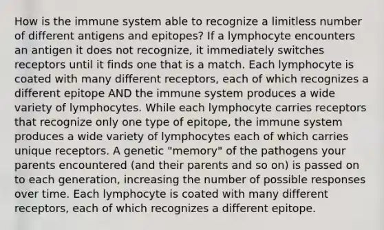 How is the immune system able to recognize a limitless number of different antigens and epitopes? If a lymphocyte encounters an antigen it does not recognize, it immediately switches receptors until it finds one that is a match. Each lymphocyte is coated with many different receptors, each of which recognizes a different epitope AND the immune system produces a wide variety of lymphocytes. While each lymphocyte carries receptors that recognize only one type of epitope, the immune system produces a wide variety of lymphocytes each of which carries unique receptors. A genetic "memory" of the pathogens your parents encountered (and their parents and so on) is passed on to each generation, increasing the number of possible responses over time. Each lymphocyte is coated with many different receptors, each of which recognizes a different epitope.