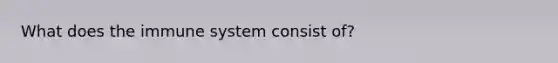 What does the immune system consist of?