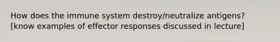 How does the immune system destroy/neutralize antigens? [know examples of effector responses discussed in lecture]