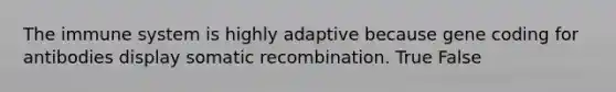 The immune system is highly adaptive because gene coding for antibodies display somatic recombination. True False