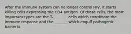 After the immune system can no longer control HIV, it starts killing cells expressing the CD4 antigen. Of those cells, the most important types are the T- _______ cells which coordinate the immune response and the _______ which engulf pathogenic bacteria.