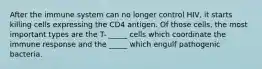 After the immune system can no longer control HIV, it starts killing cells expressing the CD4 antigen. Of those cells, the most important types are the T- _____ cells which coordinate the immune response and the _____ which engulf pathogenic bacteria.