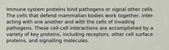 Immune system proteins bind pathogens or signal other cells. The cells that defend mammalian bodies work together, inter- acting with one another and with the cells of invading pathogens. These cell-cell interactions are accomplished by a variety of key proteins, including receptors, other cell surface proteins, and signalling molecules.