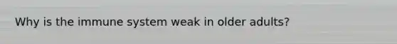 Why is the immune system weak in older adults?