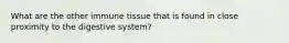 What are the other immune tissue that is found in close proximity to the digestive system?