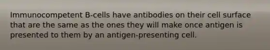 Immunocompetent B-cells have antibodies on their cell surface that are the same as the ones they will make once antigen is presented to them by an antigen-presenting cell.