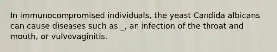 In immunocompromised individuals, the yeast Candida albicans can cause diseases such as _, an infection of the throat and mouth, or vulvovaginitis.