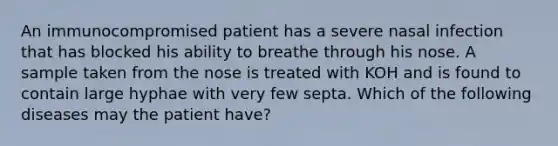 An immunocompromised patient has a severe nasal infection that has blocked his ability to breathe through his nose. A sample taken from the nose is treated with KOH and is found to contain large hyphae with very few septa. Which of the following diseases may the patient have?