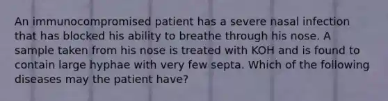 An immunocompromised patient has a severe nasal infection that has blocked his ability to breathe through his nose. A sample taken from his nose is treated with KOH and is found to contain large hyphae with very few septa. Which of the following diseases may the patient have?