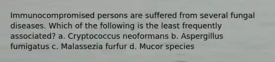 Immunocompromised persons are suffered from several fungal diseases. Which of the following is the least frequently associated? a. Cryptococcus neoformans b. Aspergillus fumigatus c. Malassezia furfur d. Mucor species