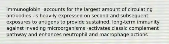 immunoglobin -accounts for the largest amount of circulating antibodies -is heavily expressed on second and subsequent exposures to antigens to provide sustained, long-term immunity against invading microorganisms -activates classic complement pathway and enhances neutrophil and macrophage actions