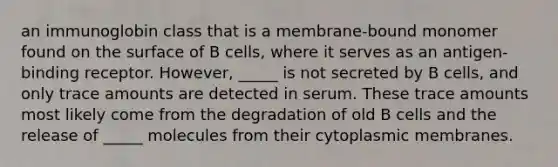 an immunoglobin class that is a membrane-bound monomer found on the surface of B cells, where it serves as an antigen-binding receptor. However, _____ is not secreted by B cells, and only trace amounts are detected in serum. These trace amounts most likely come from the degradation of old B cells and the release of _____ molecules from their cytoplasmic membranes.