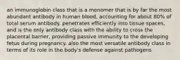 an immunoglobin class that is a monomer that is by far the most abundant antibody in human blood, accounting for about 80% of total serum antibody. penetrates efficiently into tissue spaces, and is the only antibody class with the ability to cross the placental barrier, providing passive immunity to the developing fetus during pregnancy. also the most versatile antibody class in terms of its role in the body's defense against pathogens