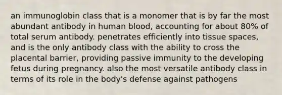 an immunoglobin class that is a monomer that is by far the most abundant antibody in human blood, accounting for about 80% of total serum antibody. penetrates efficiently into tissue spaces, and is the only antibody class with the ability to cross the placental barrier, providing passive immunity to the developing fetus during pregnancy. also the most versatile antibody class in terms of its role in the body's defense against pathogens