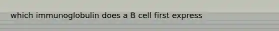 which immunoglobulin does a B cell first express