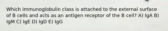 Which immunoglobulin class is attached to the external surface of B cells and acts as an antigen receptor of the B cell? A) IgA B) IgM C) IgE D) IgD E) IgG