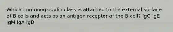 Which immunoglobulin class is attached to the external surface of B cells and acts as an antigen receptor of the B cell? IgG IgE IgM IgA IgD