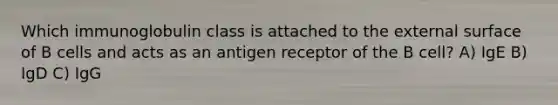 Which immunoglobulin class is attached to the external surface of B cells and acts as an antigen receptor of the B cell? A) IgE B) IgD C) IgG