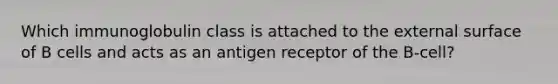 Which immunoglobulin class is attached to the external surface of B cells and acts as an antigen receptor of the B-cell?