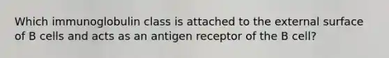 Which immunoglobulin class is attached to the external surface of B cells and acts as an antigen receptor of the B cell?