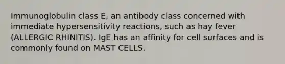 Immunoglobulin class E, an antibody class concerned with immediate <a href='https://www.questionai.com/knowledge/kgqY8W7tk7-hypersensitivity-reactions' class='anchor-knowledge'>hypersensitivity reactions</a>, such as hay fever (ALLERGIC RHINITIS). IgE has an affinity for cell surfaces and is commonly found on MAST CELLS.