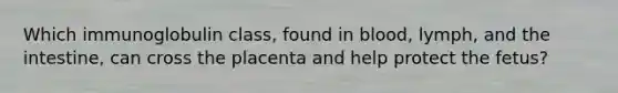 Which immunoglobulin class, found in blood, lymph, and the intestine, can cross the placenta and help protect the fetus?