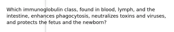 Which immunoglobulin class, found in blood, lymph, and the intestine, enhances phagocytosis, neutralizes toxins and viruses, and protects the fetus and the newborn?