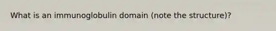 What is an immunoglobulin domain (note the structure)?