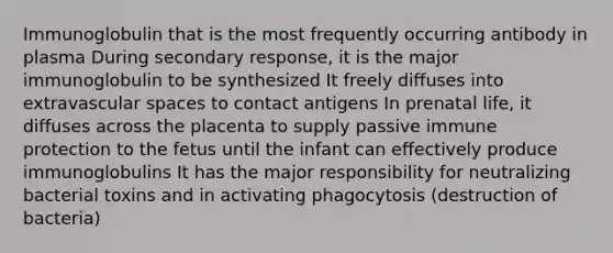 Immunoglobulin that is the most frequently occurring antibody in plasma During secondary response, it is the major immunoglobulin to be synthesized It freely diffuses into extravascular spaces to contact antigens In prenatal life, it diffuses across the placenta to supply passive immune protection to the fetus until the infant can effectively produce immunoglobulins It has the major responsibility for neutralizing bacterial toxins and in activating phagocytosis (destruction of bacteria)