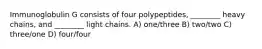 Immunoglobulin G consists of four polypeptides, ________ heavy chains, and ________ light chains. A) one/three B) two/two C) three/one D) four/four