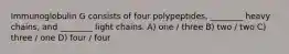 Immunoglobulin G consists of four polypeptides, ________ heavy chains, and ________ light chains. A) one / three B) two / two C) three / one D) four / four