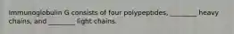 Immunoglobulin G consists of four polypeptides, ________ heavy chains, and ________ light chains.