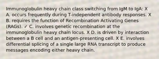 Immunoglobulin heavy chain class switching from IgM to IgA: X A. occurs frequently during T-independent antibody responses. X B. requires the function of Recombination Activating Genes (RAGs). ✓ C. involves genetic recombination at the immunoglobulin heavy chain locus. X D. is driven by interaction between a B cell and an antigen-presenting cell. X E. involves differential splicing of a single large RNA transcript to produce messages encoding either heavy chain.