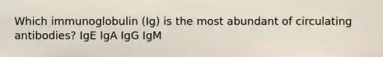 Which immunoglobulin (Ig) is the most abundant of circulating antibodies? IgE IgA IgG IgM