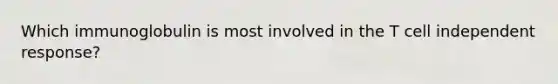 Which immunoglobulin is most involved in the T cell independent response?