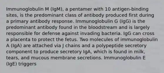 Immunoglobulin M (IgM), a pentamer with 10 antigen-binding sites, is the predominant class of antibody produced first during a primary antibody response. Immunoglobulin G (IgG) is the predominant antibody found in the bloodstream and is largely responsible for defense against invading bacteria. IgG can cross a placenta to protect the fetus. Two molecules of immunoglobulin A (IgA) are attached via J chains and a polypeptide secretory component to produce secretory IgA, which is found in milk, tears, and mucous membrane secretions. Immunoglobulin E (IgE) triggers