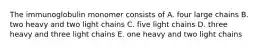 The immunoglobulin monomer consists of A. four large chains B. two heavy and two light chains C. five light chains D. three heavy and three light chains E. one heavy and two light chains