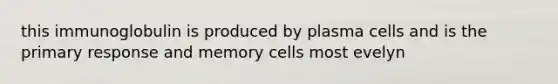 this immunoglobulin is produced by plasma cells and is the primary response and memory cells most evelyn