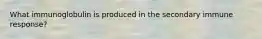 What immunoglobulin is produced in the secondary immune response?