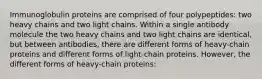 Immunoglobulin proteins are comprised of four polypeptides: two heavy chains and two light chains. Within a single antibody molecule the two heavy chains and two light chains are identical, but between antibodies, there are different forms of heavy-chain proteins and different forms of light-chain proteins. However, the different forms of heavy-chain proteins: