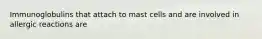 Immunoglobulins that attach to mast cells and are involved in allergic reactions are