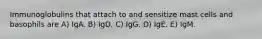 Immunoglobulins that attach to and sensitize mast cells and basophils are A) IgA. B) IgD. C) IgG. D) IgE. E) IgM.