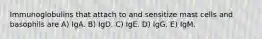 Immunoglobulins that attach to and sensitize mast cells and basophils are A) IgA. B) IgD. C) IgE. D) IgG. E) IgM.