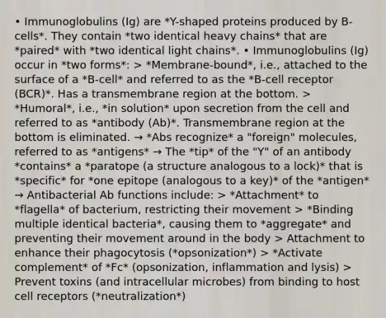 • Immunoglobulins (Ig) are *Y-shaped proteins produced by B-cells*. They contain *two identical heavy chains* that are *paired* with *two identical light chains*. • Immunoglobulins (Ig) occur in *two forms*: > *Membrane-bound*, i.e., attached to the surface of a *B-cell* and referred to as the *B-cell receptor (BCR)*. Has a transmembrane region at the bottom. > *Humoral*, i.e., *in solution* upon secretion from the cell and referred to as *antibody (Ab)*. Transmembrane region at the bottom is eliminated. → *Abs recognize* a "foreign" molecules, referred to as *antigens* → The *tip* of the "Y" of an antibody *contains* a *paratope (a structure analogous to a lock)* that is *specific* for *one epitope (analogous to a key)* of the *antigen* → Antibacterial Ab functions include: > *Attachment* to *flagella* of bacterium, restricting their movement > *Binding multiple identical bacteria*, causing them to *aggregate* and preventing their movement around in the body > Attachment to enhance their phagocytosis (*opsonization*) > *Activate complement* of *Fc* (opsonization, inflammation and lysis) > Prevent toxins (and intracellular microbes) from binding to host cell receptors (*neutralization*)