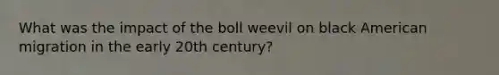 What was the impact of the boll weevil on black American migration in the early 20th century?