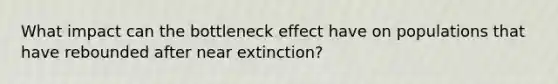 What impact can the bottleneck effect have on populations that have rebounded after near extinction?