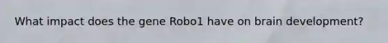 What impact does the gene Robo1 have on brain development?